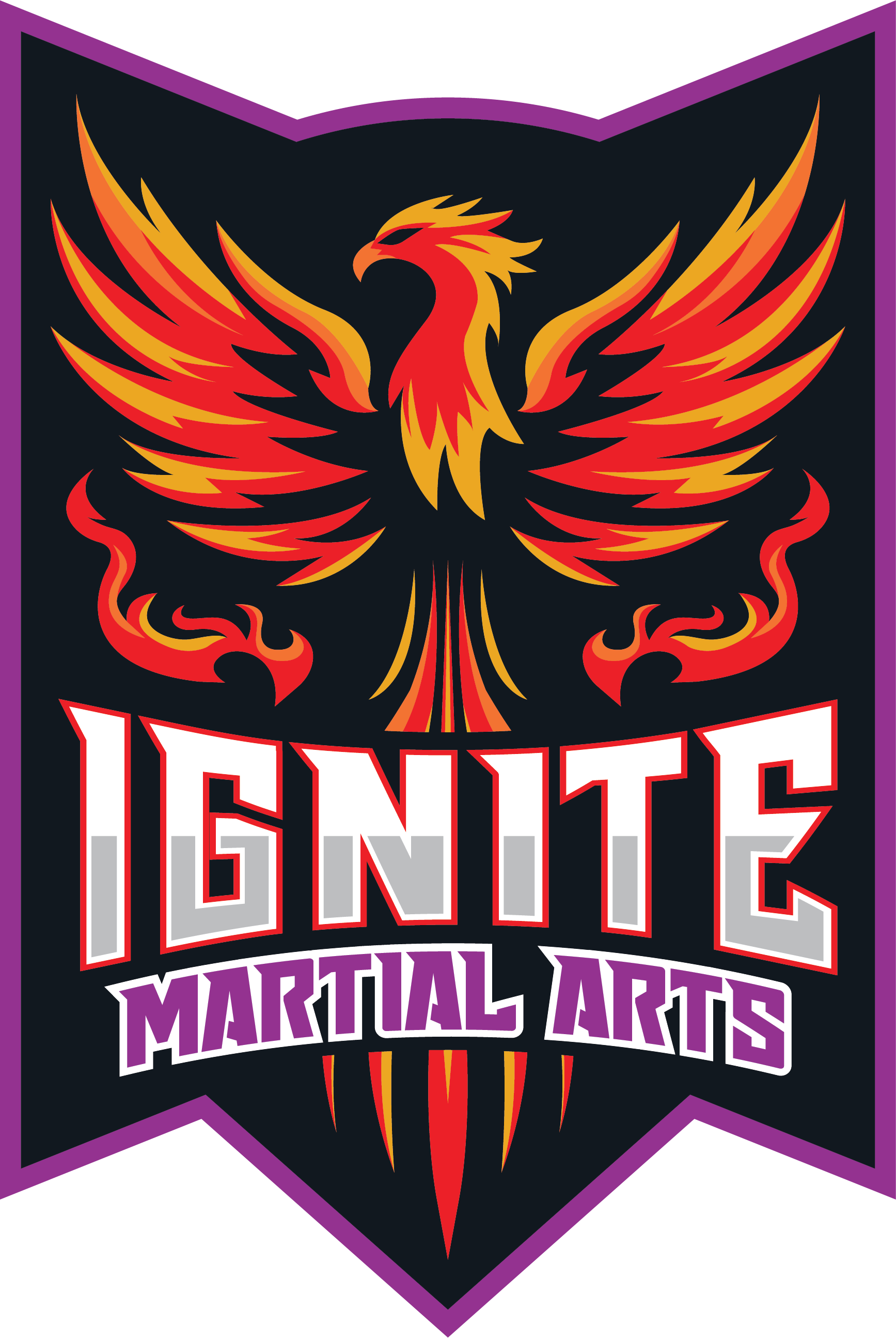 Ignite Martial Arts - Wyomissing